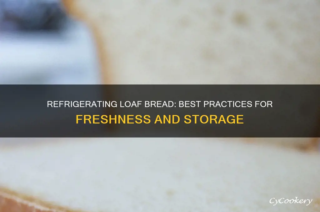 can you put loaf bread in the refrigerator