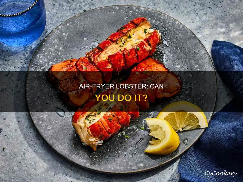 can you put lobster in air fryer