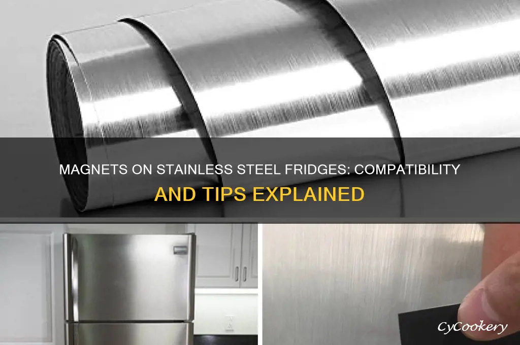 can you put magnets on a stainless steel refrigerator