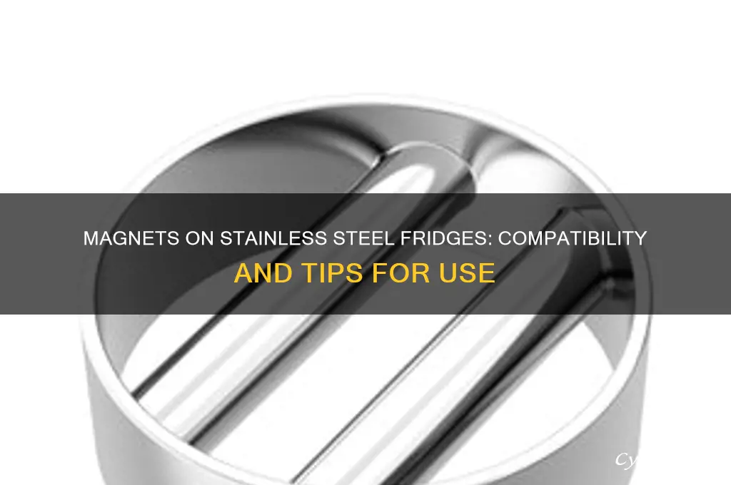 can you put magnets on a statinless steel refrigerator