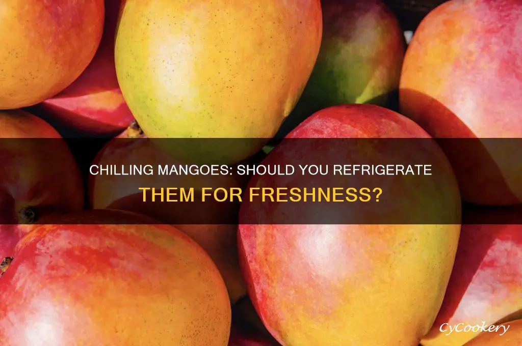 can you put mangoes in the refrigerator