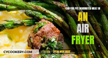 Air Fryer Tips: Marinating Meat Before Frying