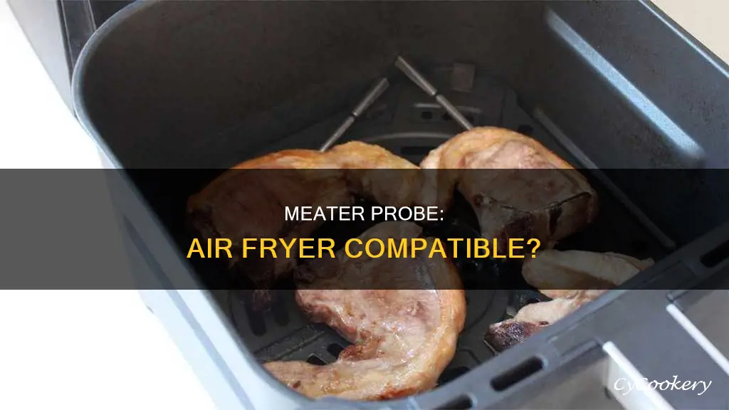 can you put meater probe in air fryer