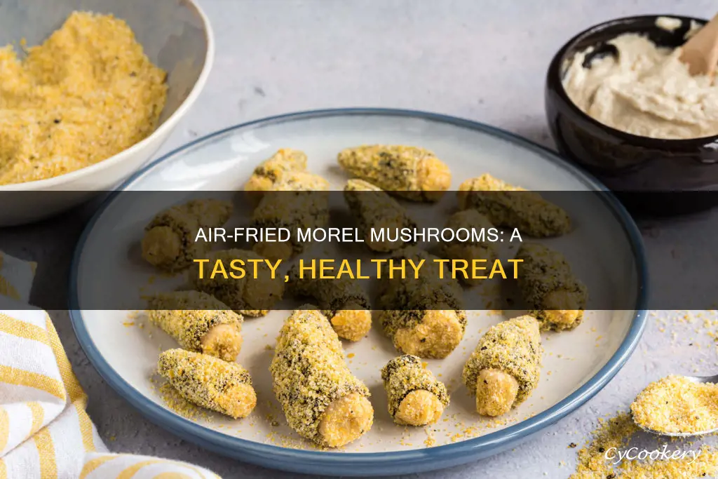 can you put morels in an air fryer