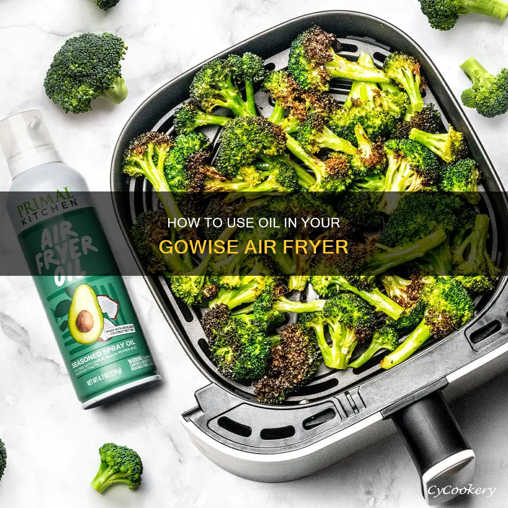 can you put oil in the gowise air fryer