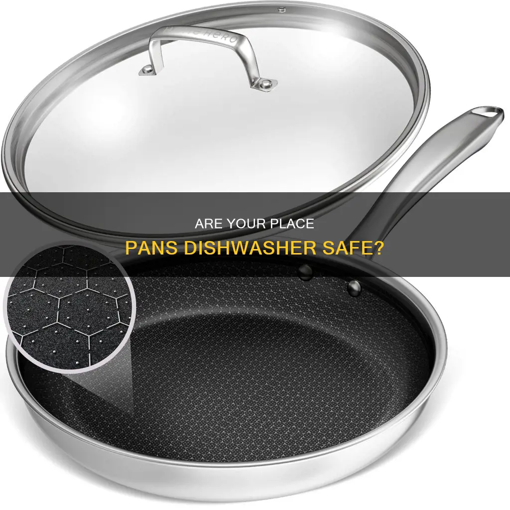 can you put our place pan in dishwasher