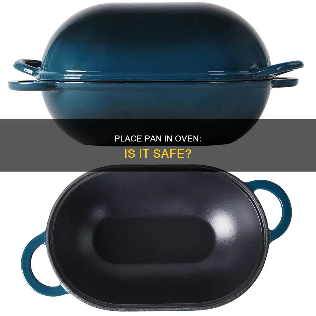 can you put our place pan in oven