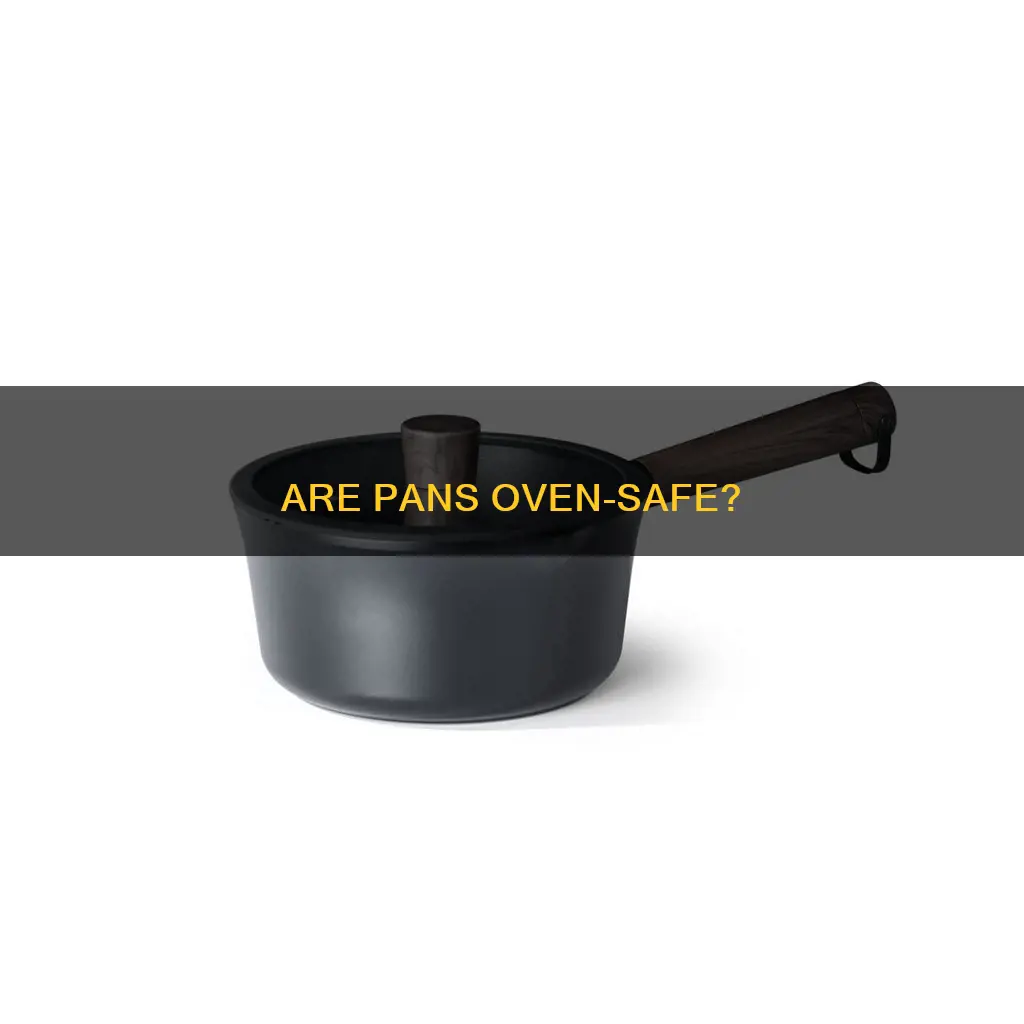 can you put pan in iven