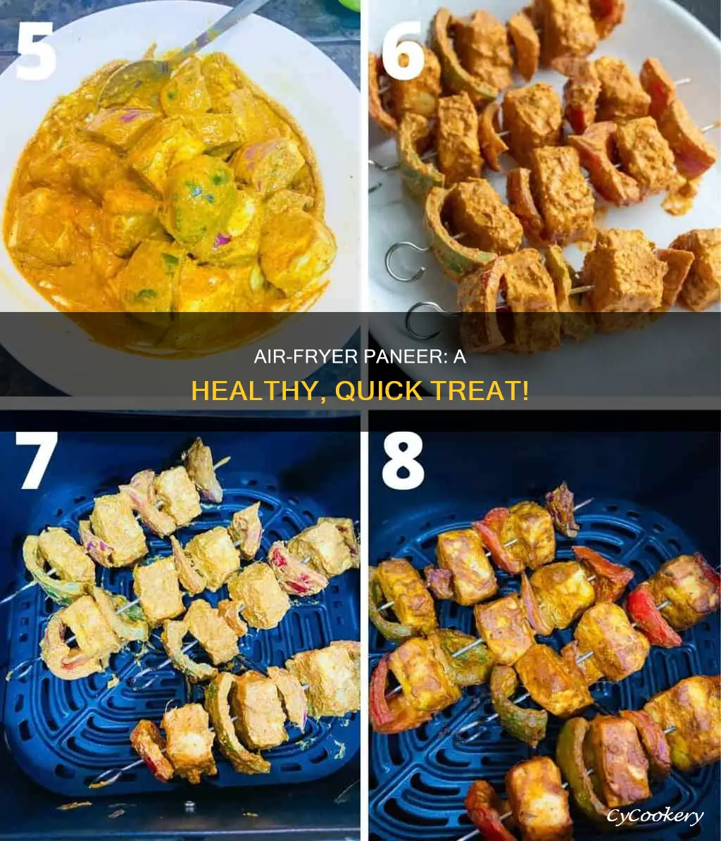 can you put paneer in air fryer
