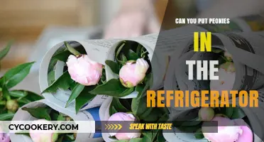Chilling Peonies: Refrigerator Storage Tips for Fresh, Long-Lasting Blooms