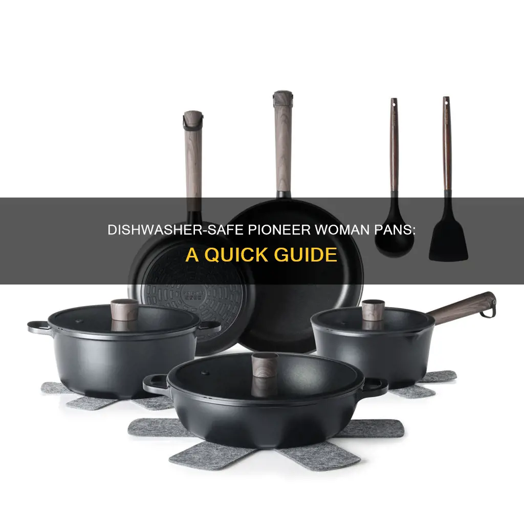 can you put pioneer woman pans in the dishwasher