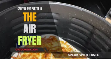 Air Fryer Plate Cooking: Is It Possible?