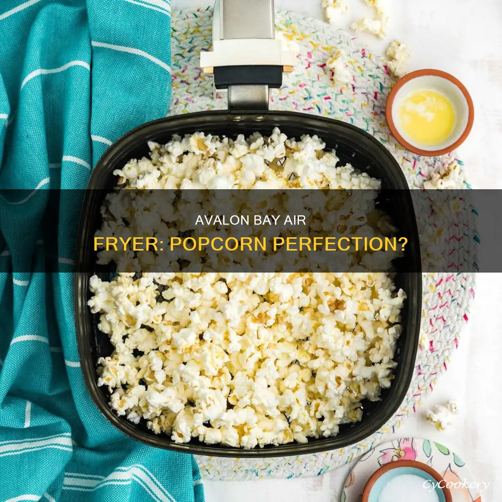 can you put popcorn in an avalom bayair fryer