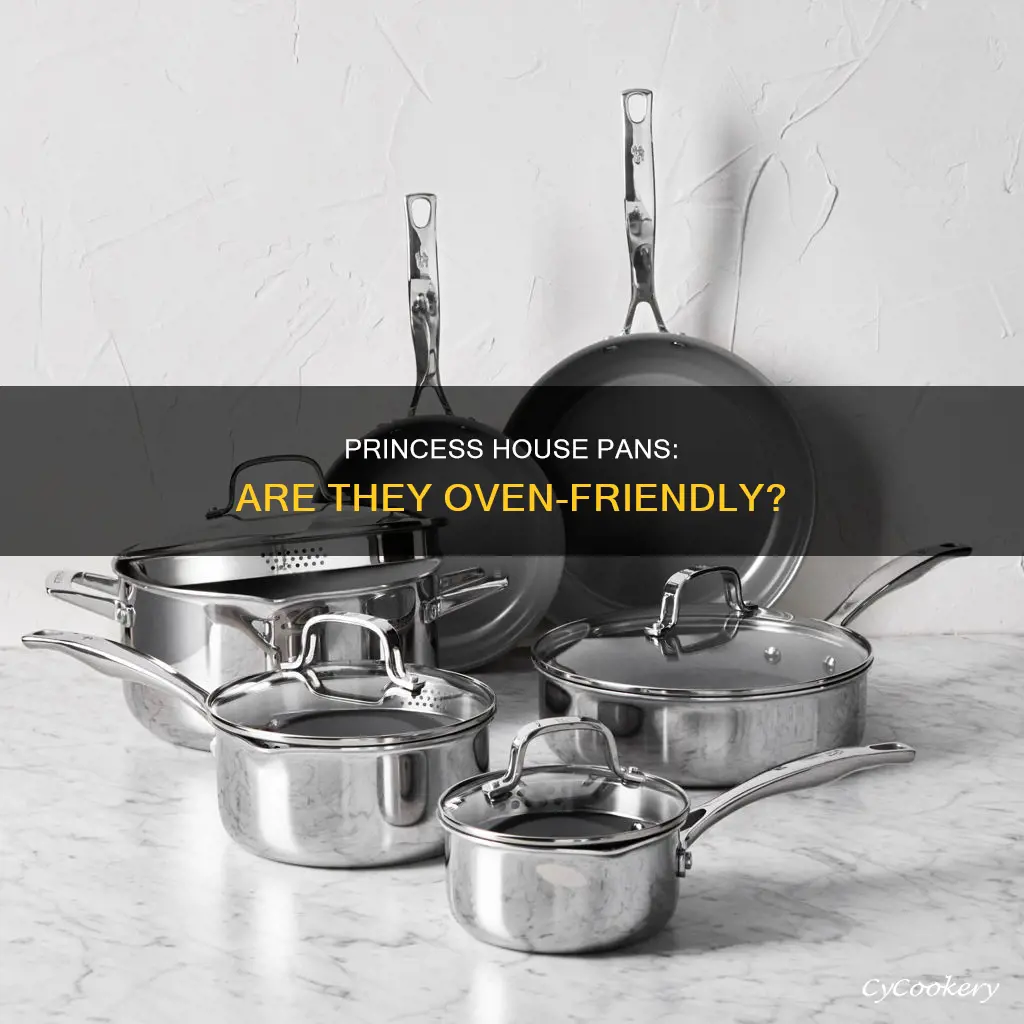 can you put princess house pans in the oven