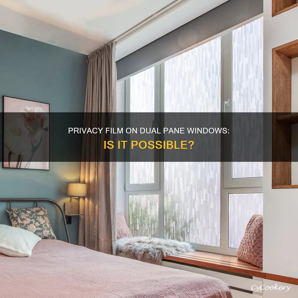 can you put privacy film on dual pane windows