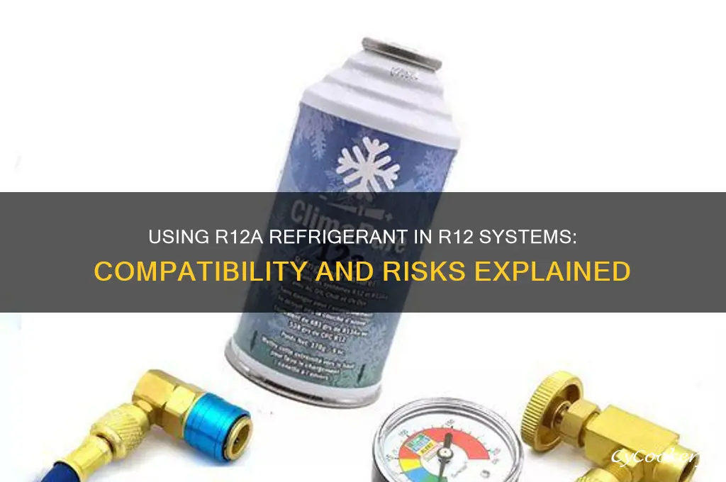can you put r12a refrigerant in an r12 system