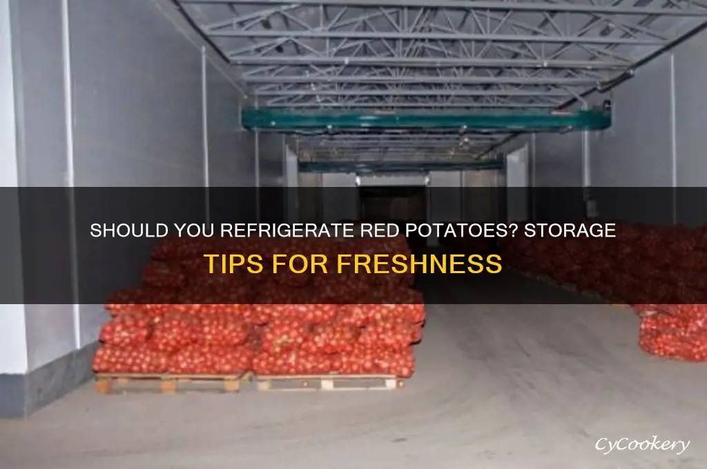 can you put red potatoes in the refrigerator