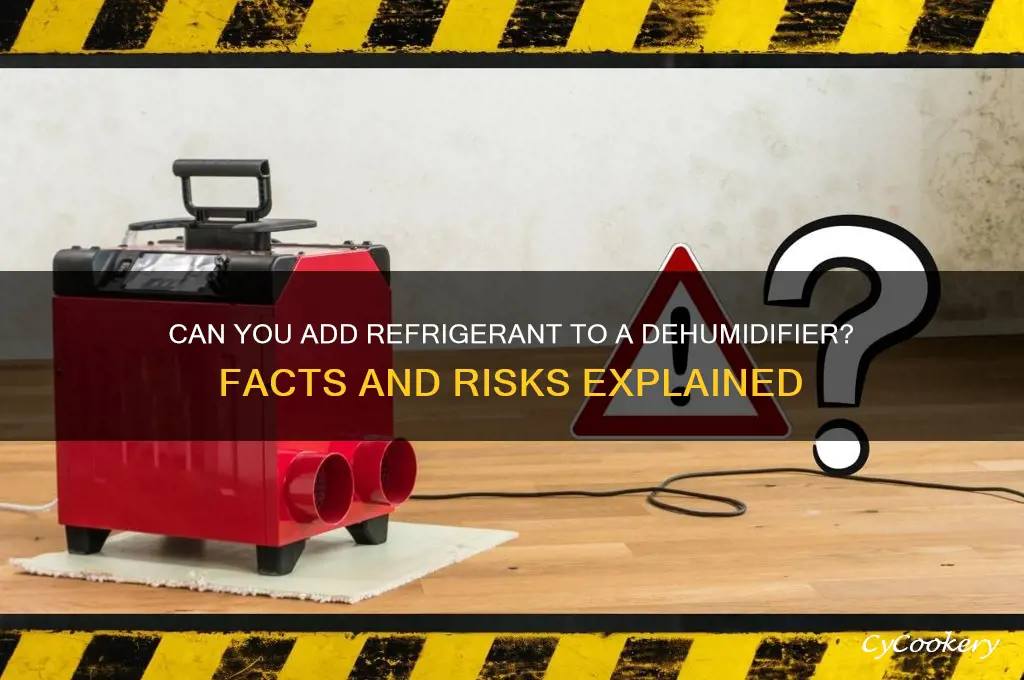 can you put refrigerant in a dehumidifier