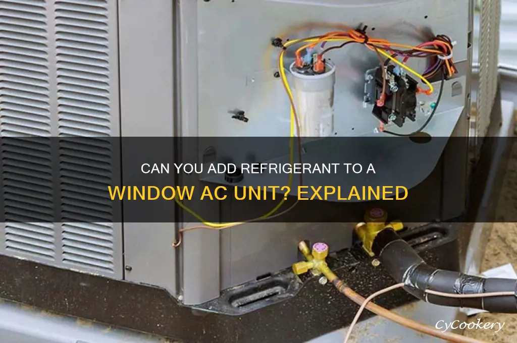 can you put refrigerant in a window air conditioner