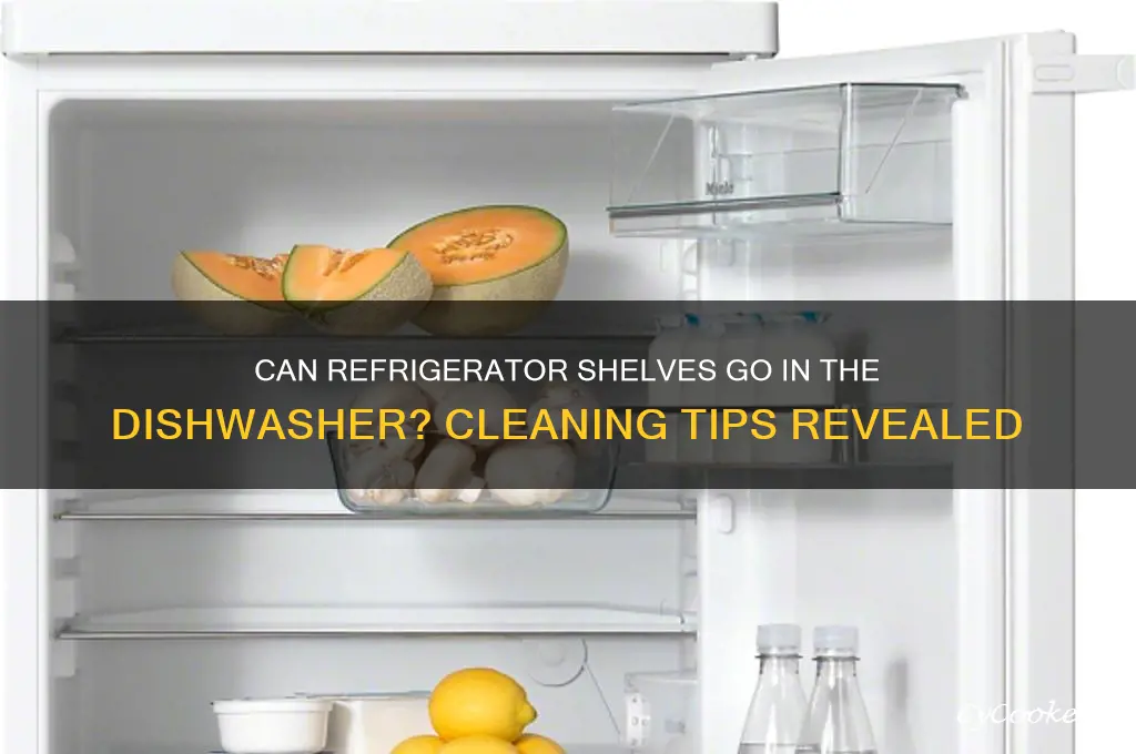 can you put refrigerator shelves in the dishwasher