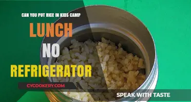Packing Rice in Kids' Camp Lunches Without Refrigeration: Safe Tips