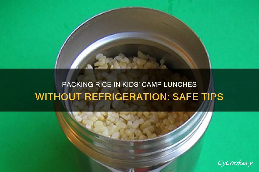 can you put rice in kids camp lunch no refrigerator