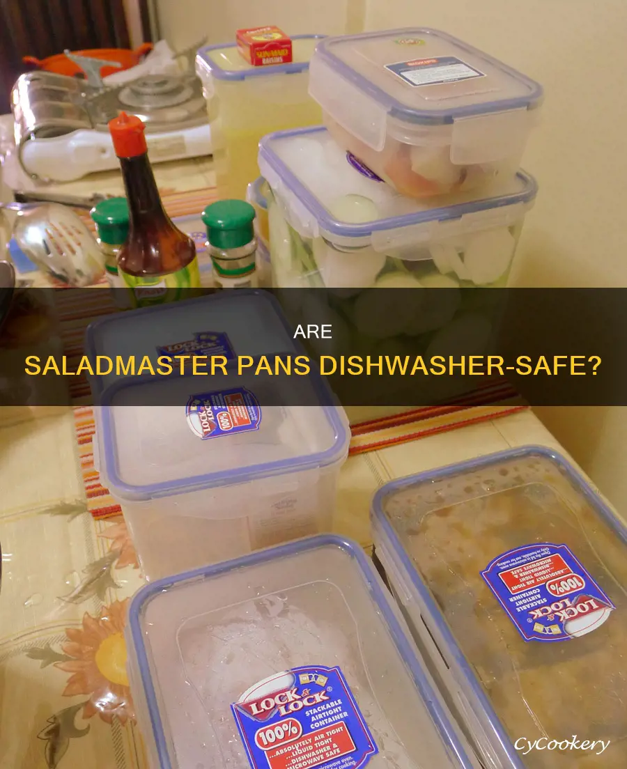 can you put saladmaster pans in the dishwasher