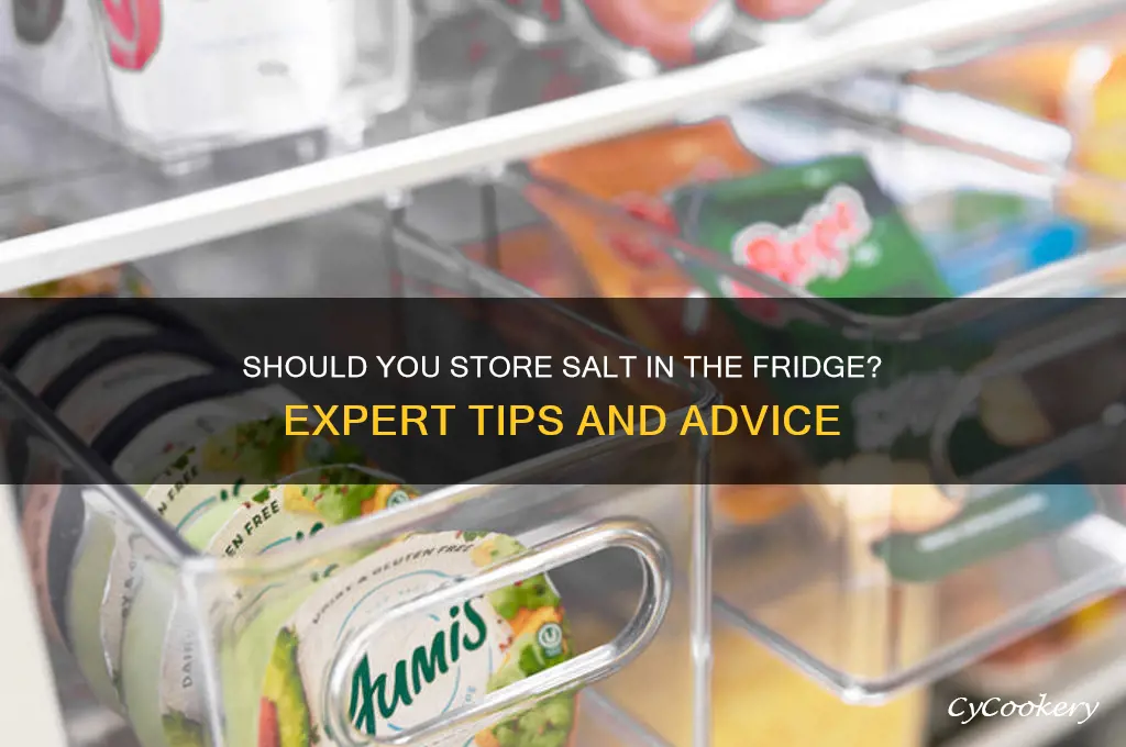 can you put salt in the refrigerator