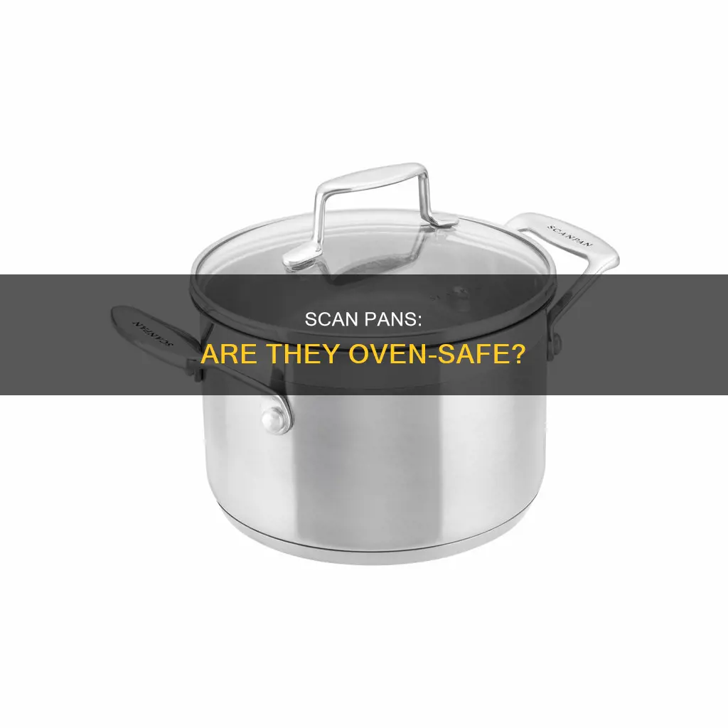 can you put scan pan in the oven