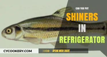 Chilling Shiners: Safe Refrigeration Tips for Fresh Catch Storage