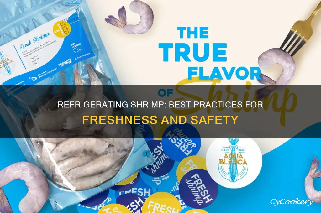 can you put shrimp in the refrigerator