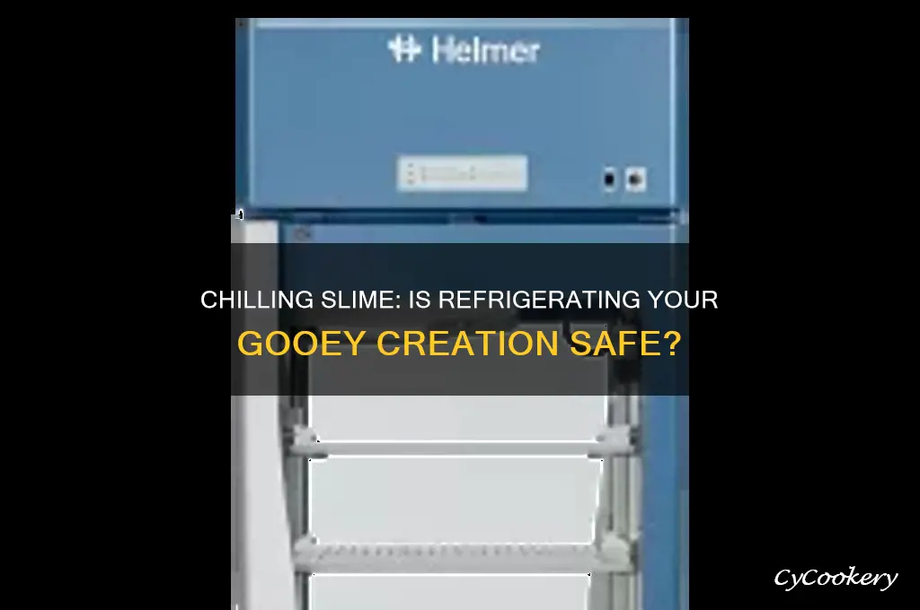 can you put slime in the refrigerator