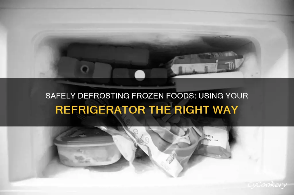can you put something frozen in the refrigerator to defrost