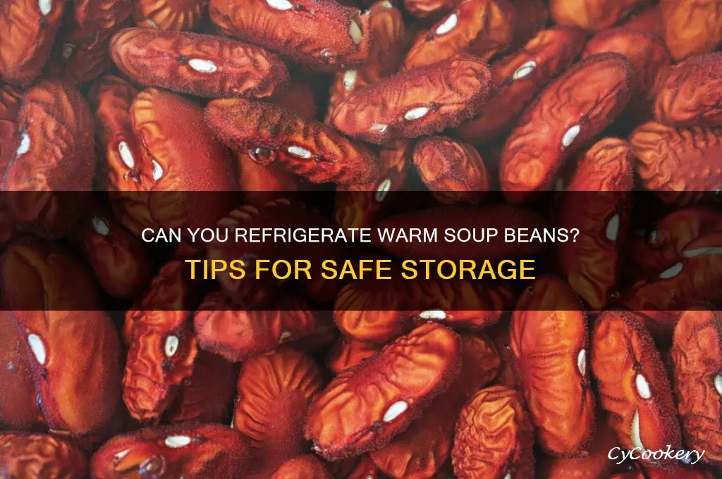 can you put soup beans in refrigerator warm