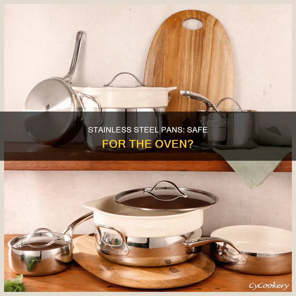 can you put stainless steel pan in oven