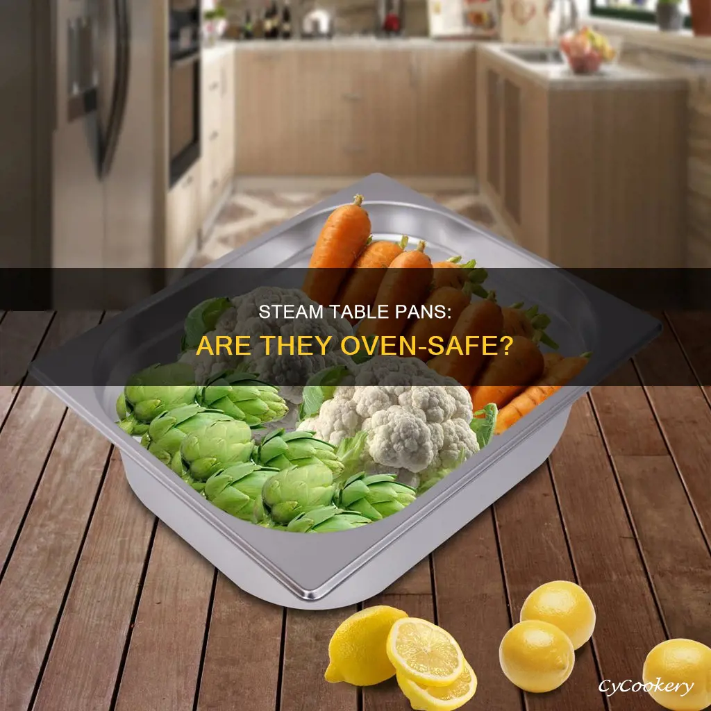 can you put steam table pans in the oven