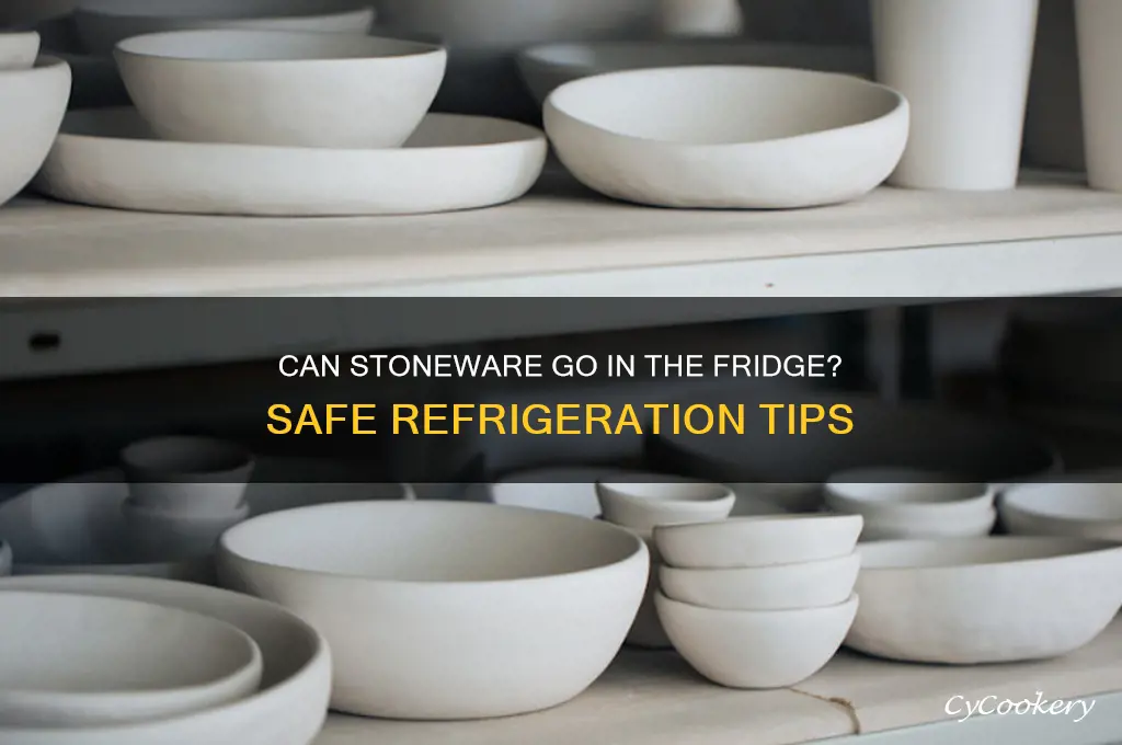 can you put stoneware in the refrigerator