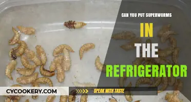 Can Superworms Survive in the Fridge? A Complete Guide