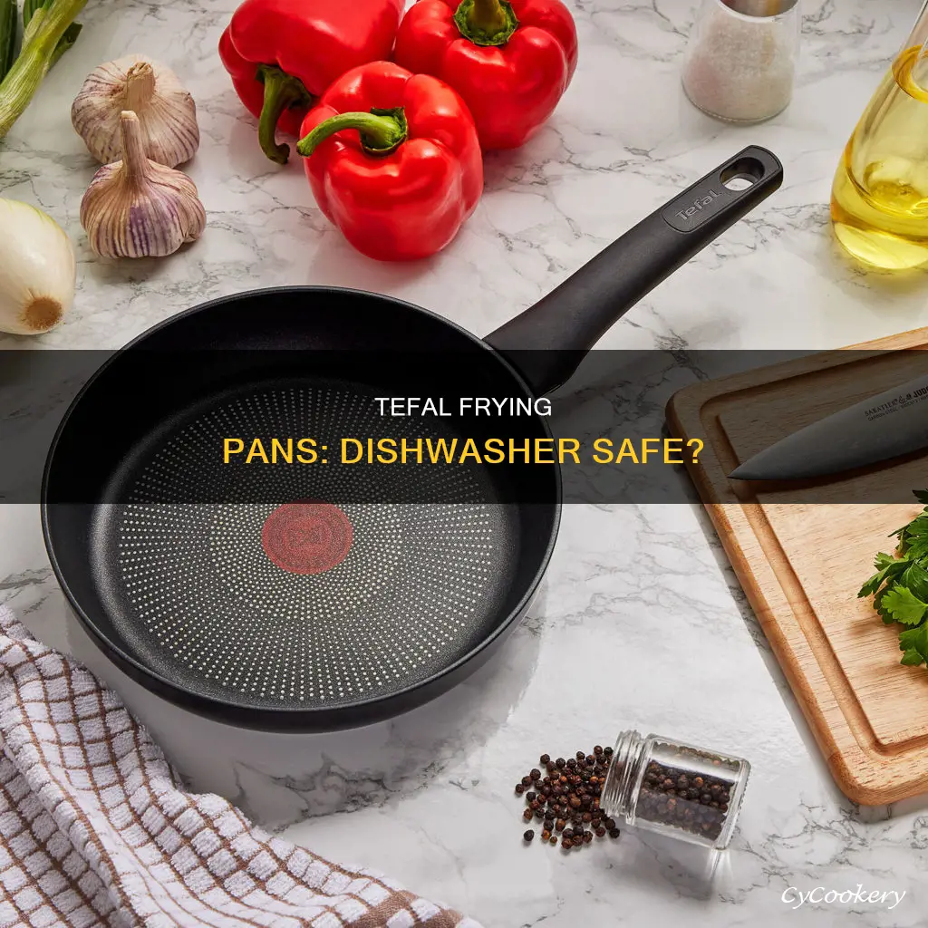 can you put tefal frying pans in the dishwasher