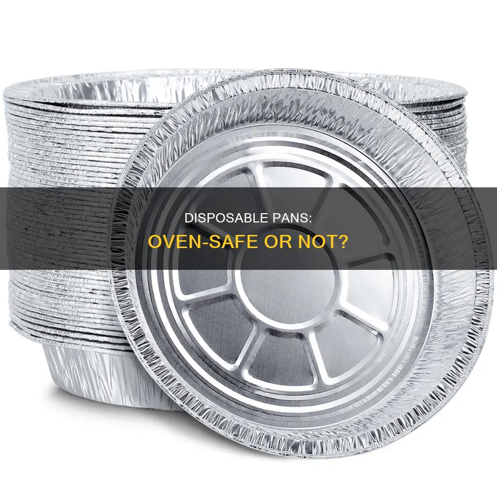 can you put throw away pans in the oven
