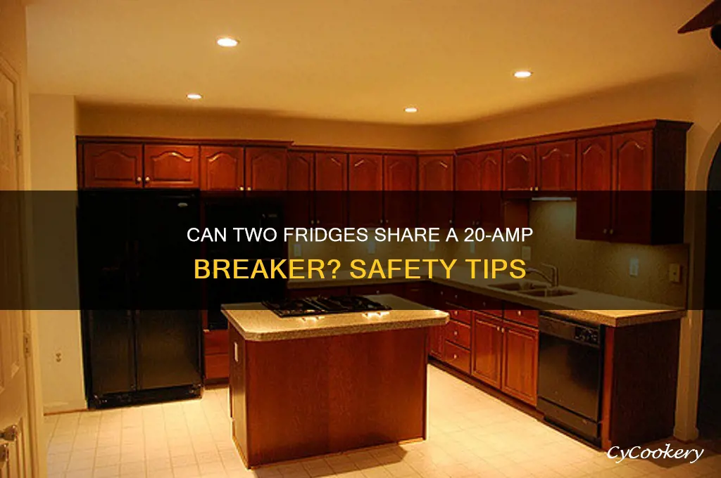 can you put two refrigerators on one 20 amp breaker