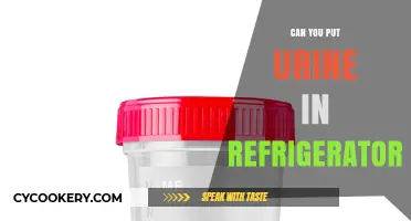 Should You Store Urine in the Fridge? Facts and Safety Tips
