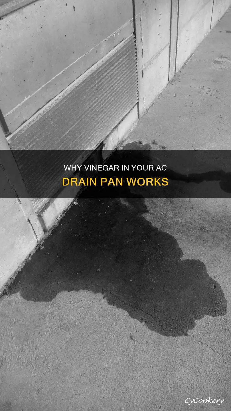 can you put vinegar in ac drain pan