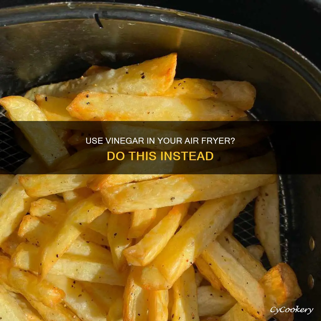 can you put vinegar in air fryer