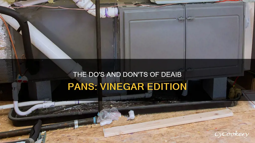 can you put vinegar in deaib pan