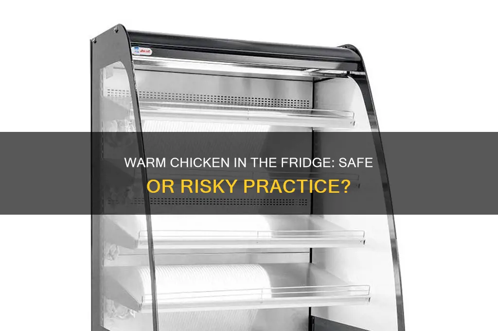 can you put warm chicken in the refrigerator