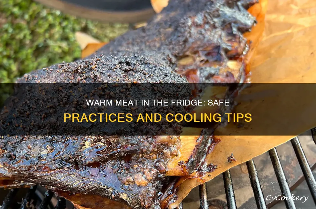 can you put warm meat in the refrigerator