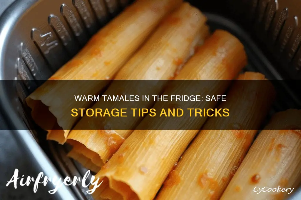 can you put warm tamales in the refrigerator