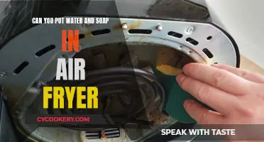 Air Fryer Cleaning: Water and Soap?