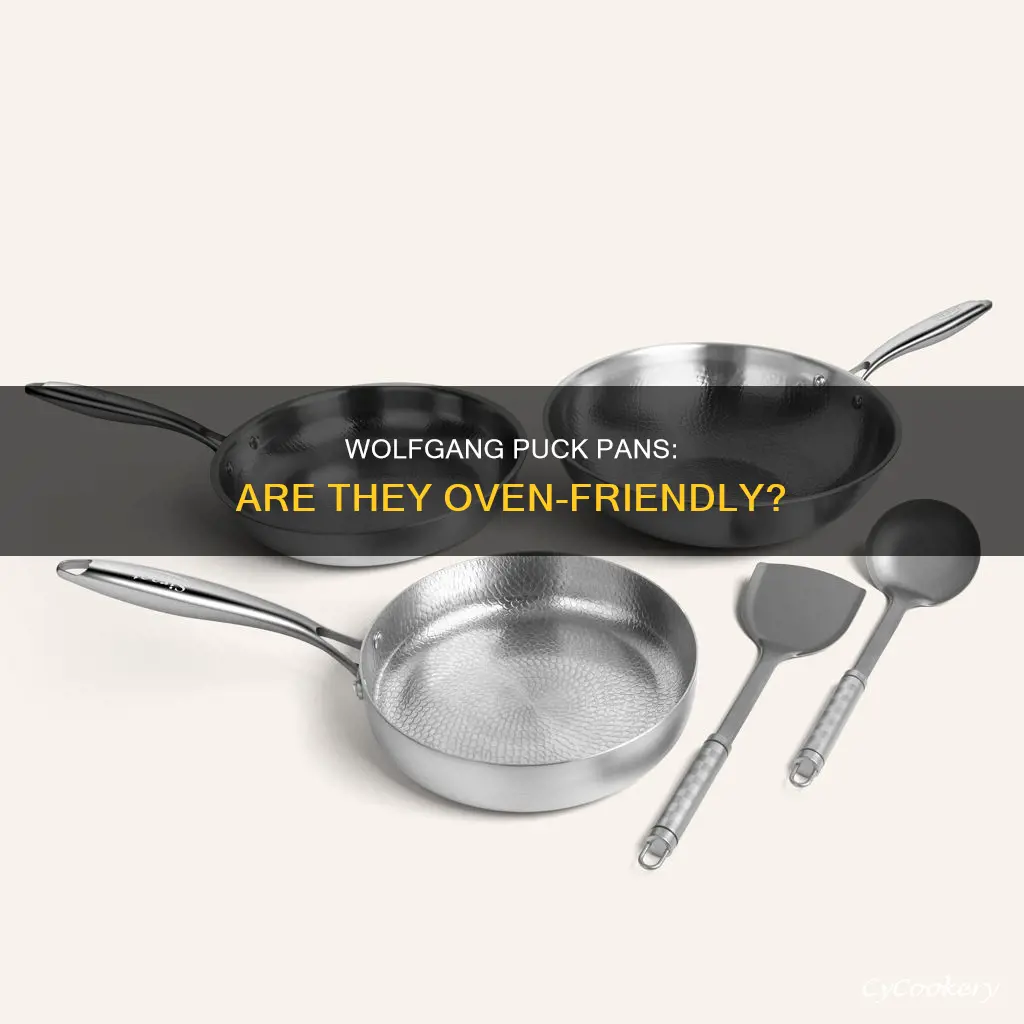 can you put wolfgang puck pans in the oven